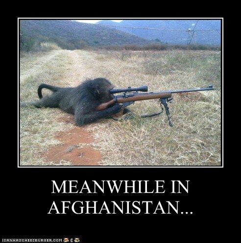 afghan-stereotypes-4-9109499