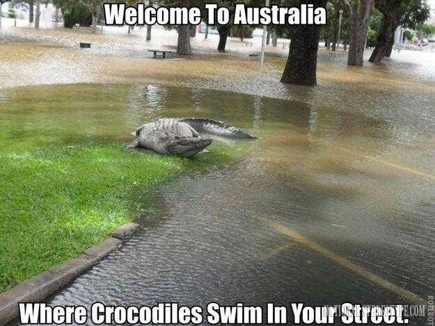 australia-is-trying-to-kill-all-the-australians-14-8790385