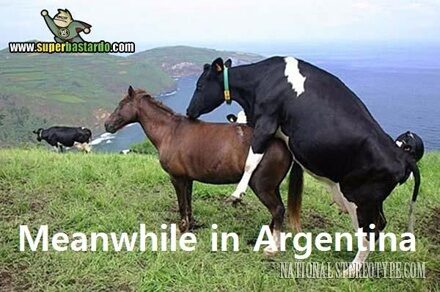 national-stereotype-argentinian-stereotypes-2-3235353