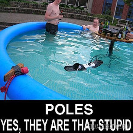 polish-stereotypes-stereotypes-and-prejudices-about-the-poles-1444323