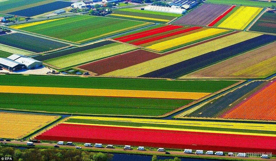 the-dutch-tupi-fields-8544235