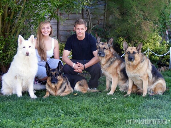 the-german-shepherd-3396885