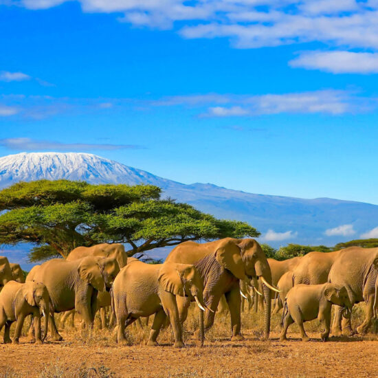 african-tourism-united-to-transform-sector-for-growth-and-opportunity