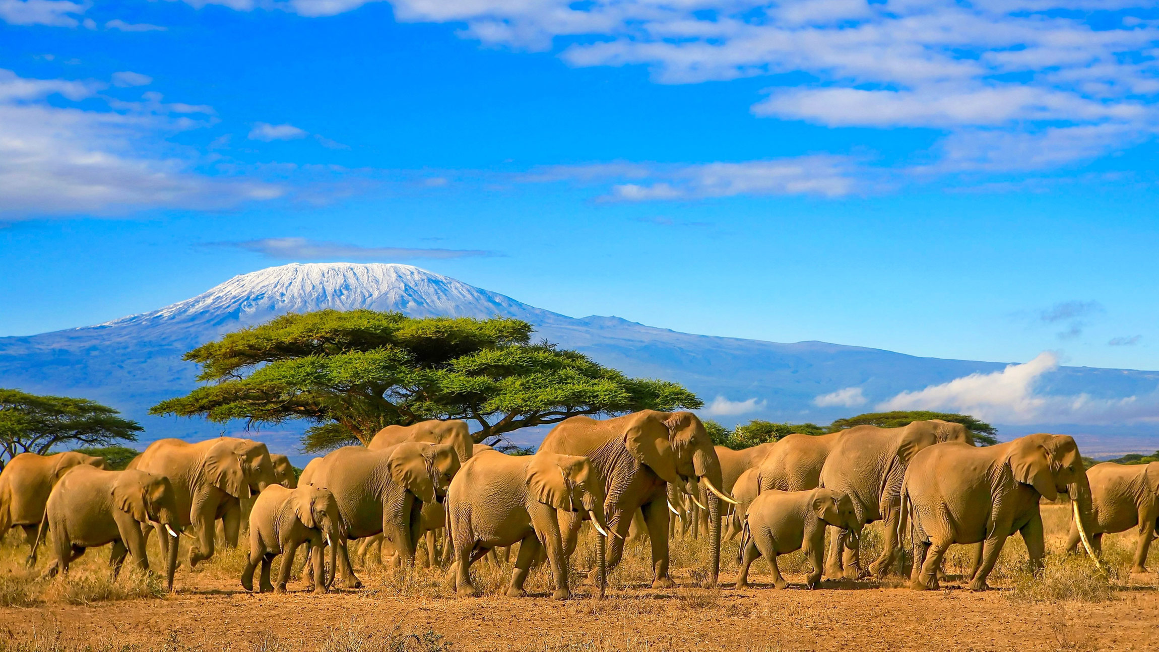 african-tourism-united-to-transform-sector-for-growth-and-opportunity